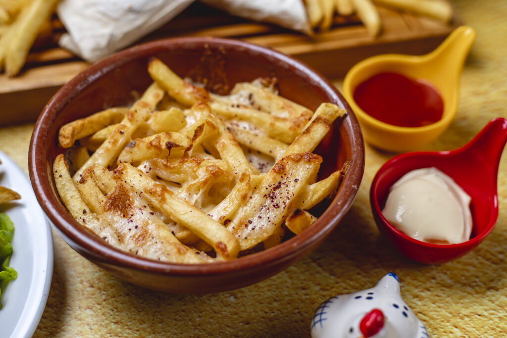 Frites sans huile et dorés airfyer, cuite à haute température
